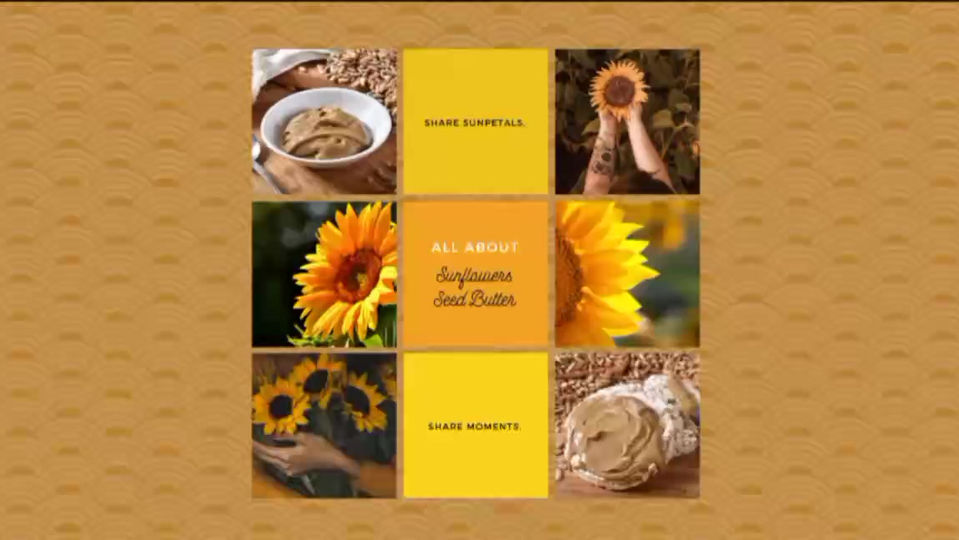 All About Sunflower Seed Butter